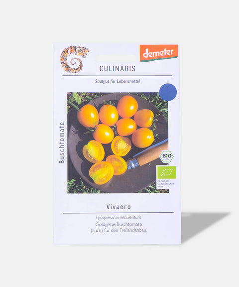 Saatgut auf grauem Hintergrund