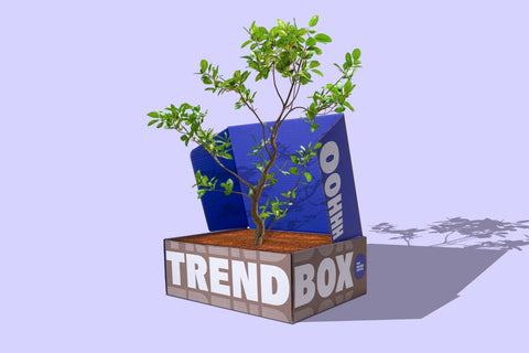 Box for a better World