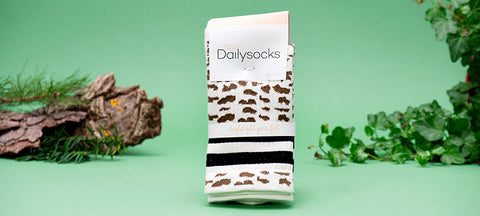 DAILYSOCKS