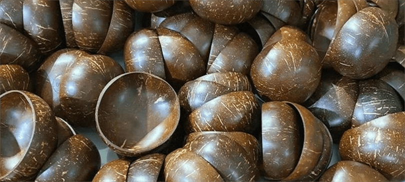 Coconut Bowls – schöne Schalen aus Kokosnuss für eine saubere Umwelt