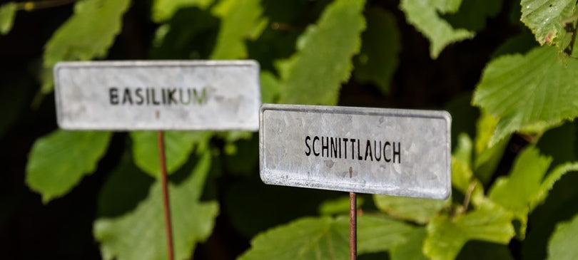 Kräuterschnecke bauen – in 8 Schritten zum Kräuterbeet mit Steinen