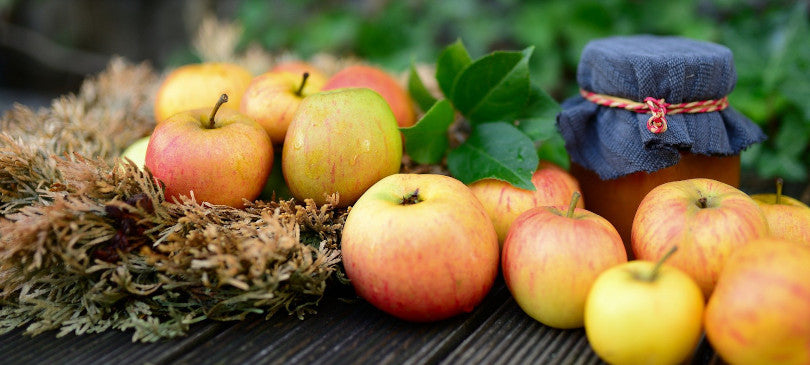 Obst haltbar machen: Einkochen, Einlegen, Trocknen und Einfrieren