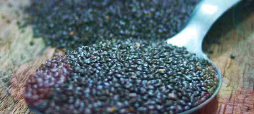 Chia Samen zubereiten: 3 einfache Rezepte mit dem Superfood