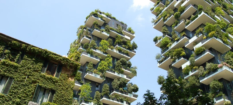 Begrüntes Haus: Gebäudebegrünung als grüne Idee gegen den Klimawandel