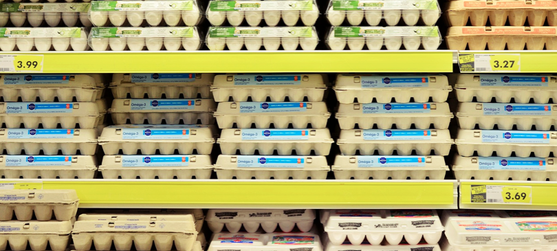 Nachhaltig einkaufen: 5 Nachhaltigkeits-Tipps für den Supermarkt