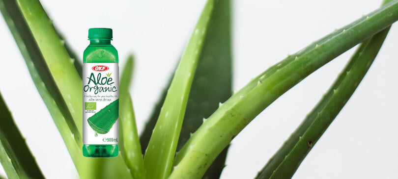 OKF – koreanisches Erfrischungsgetränk mit Aloe Vera