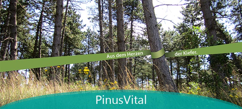 PinusVital: Produkte aus Kiefernkernholz