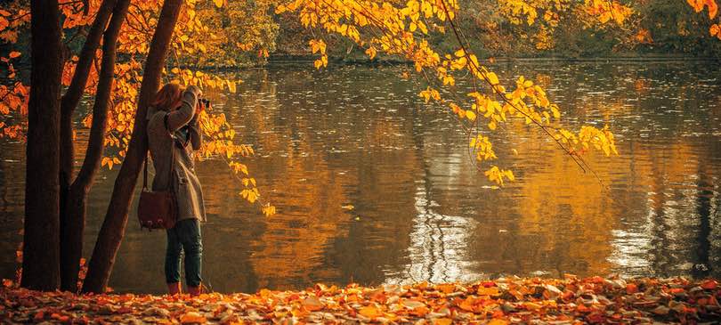 Worauf wir uns im Herbst freuen